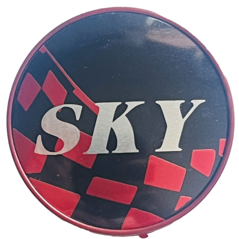 در پوش رینگ خودرو وارون مدل P-949-SKY مجموعه 4 عددی