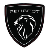 آرم گلگیر خودرو چیکال مدل K-792 بسته 2 عددی