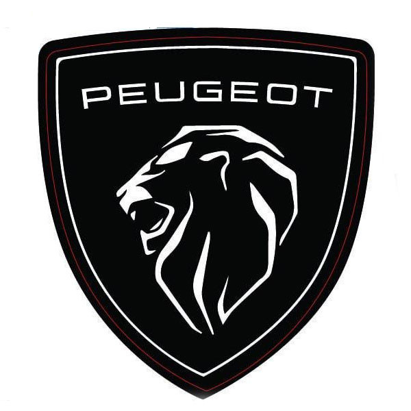 آرم گلگیر خودرو چیکال مدل K-792 بسته 2 عددی