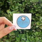 برچسب روی شیشه جلو خودرو چیکال مدل K-737-BLU