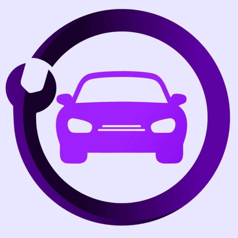 آرم خودرو چیکال مدل P-596 مناسب برای سیتروئن زانتیا