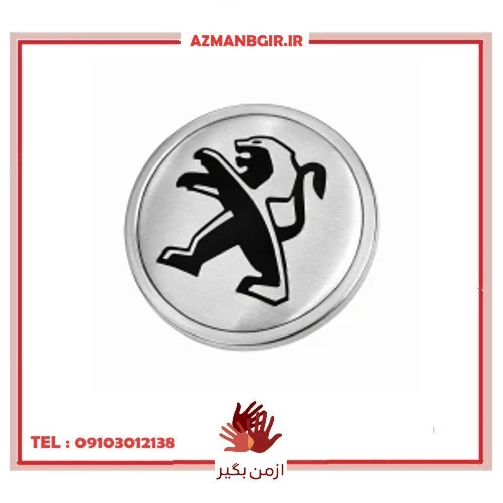 درپوش رینگ تزیینی خودرو چیکال مدل P-658-SLVR مناسب برای پژو پارس/پژو 206/پژو 207 بسته 4 عددی
