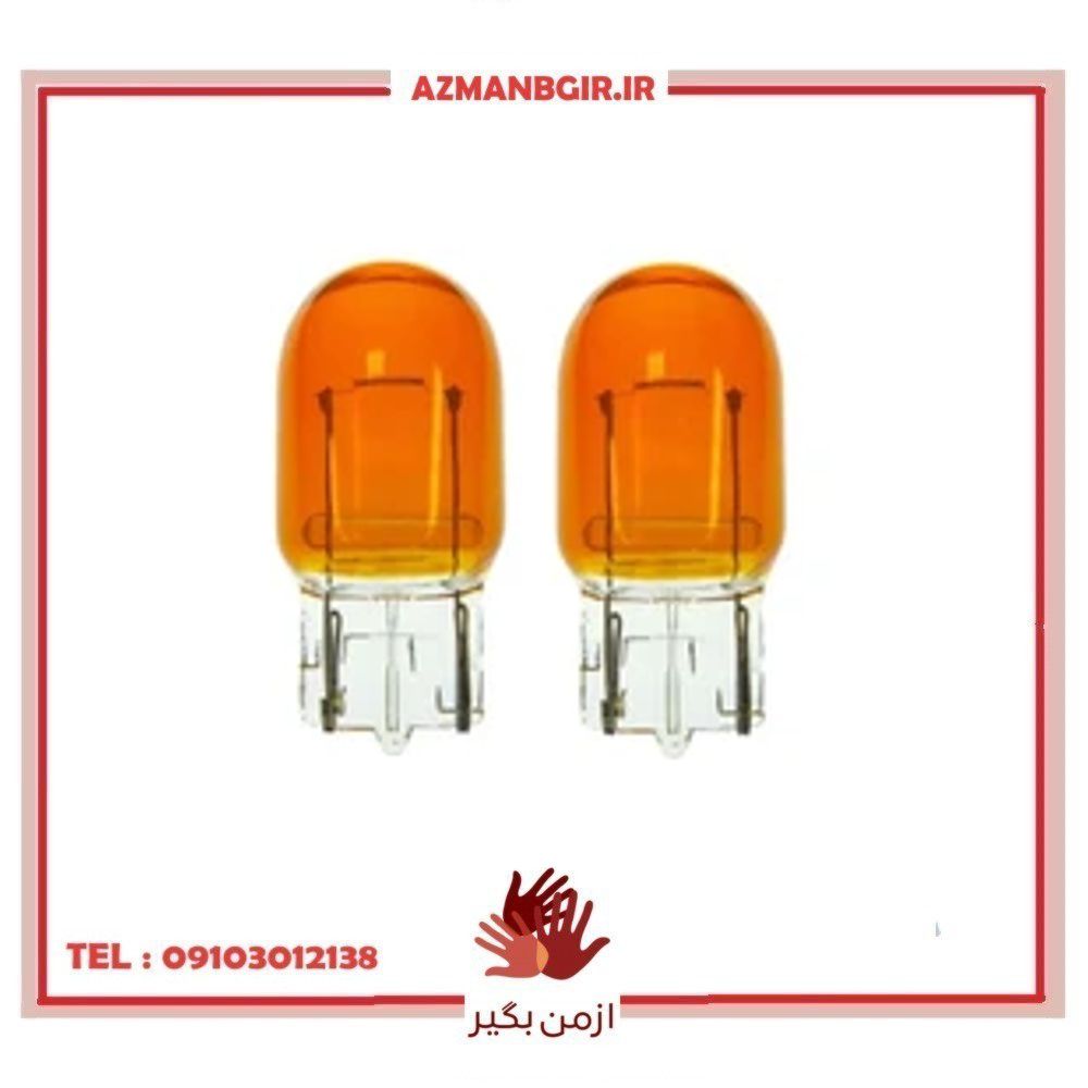 لامپ 1 کنتاک خودرو چیکال مدل P-1099 پایه T20 بسته ۲ عددی
